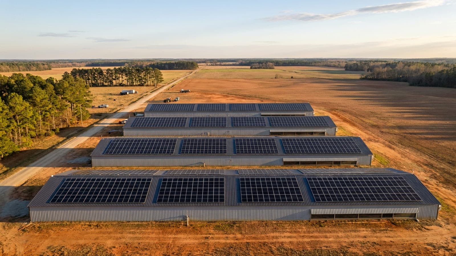 Aerial view of four poultry houses with rooftop solar on flat eastern North Carolina farmland
