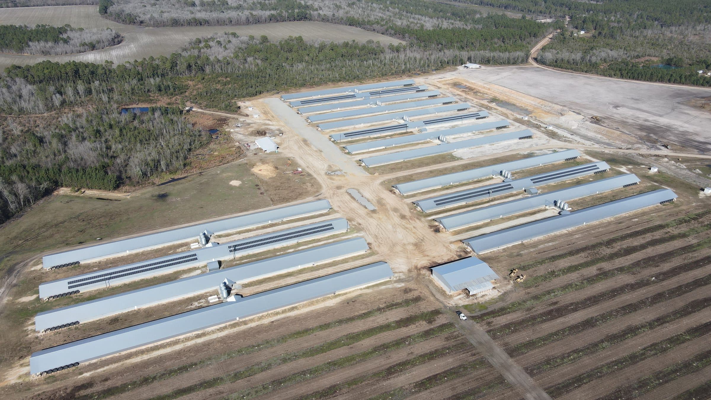 Aerial view of a 410 kW rooftop solar installation by OneWorld Solar spanning 16 broiler chicken houses on a southeast Georgia poultry farm