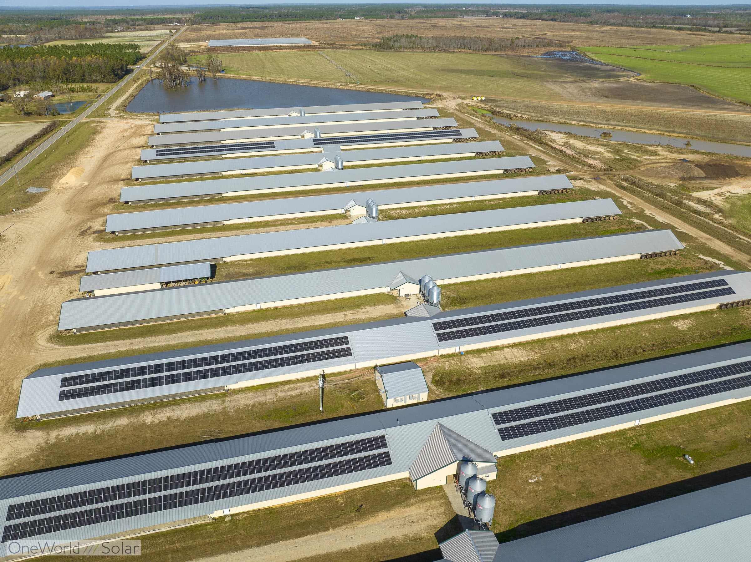 Aerial view of the 450 kW rooftop solar array OneWorld Solar installed across a 14-house broiler poultry farm in southeast Georgia